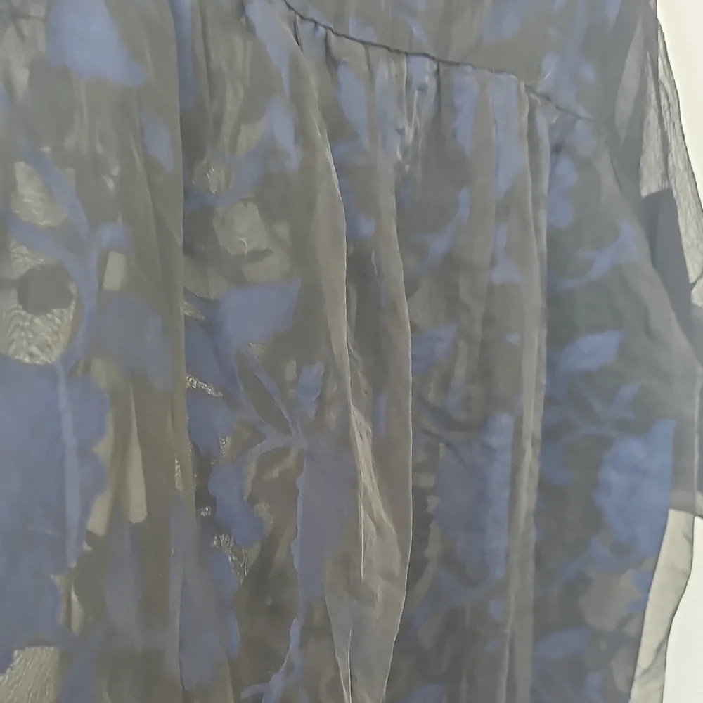 Sheer Black and Blue Lace Chiffon Dress - Picture 8 of 8